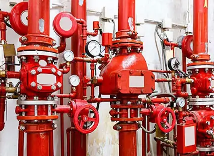 1658477982600017.png image.png